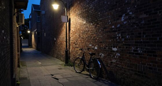 perceived significance of minor differences