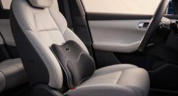 top 15 luxury car seat massagers