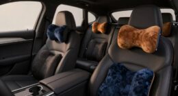 top car neck pillow picks