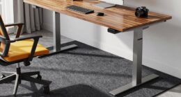 top premium standing desk sets
