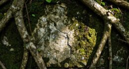 overlooking underlying causes