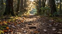 prioritize timely recovery decisions