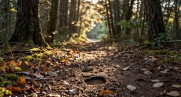 prioritize timely recovery decisions