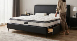 11 Best Best Murphy Bed Cabinet Queen in 2026