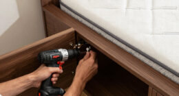 11 Best Best Murphy Bed Cabinet Queen Premium in 2026