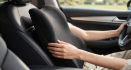 11 Best Car Lumbar Support Pillow for Long Drives in 2026