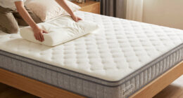 11 Best Hybrid Mattress For Back Sleepers Premium in 2026
