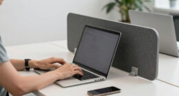 12 Best Privacy Panel for Standing Desk in 2026