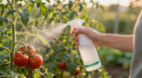 11 Best Garden Pest Control in 2026