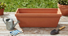 12 Best Large Garden Planters in 2026