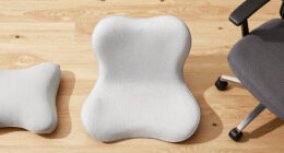 15 Best Ergonomic Back Support Cushions in 2026