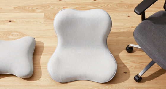 15 Best Ergonomic Back Support Cushions in 2026