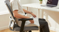 15 Best Ergonomic Seat Cushions in 2026