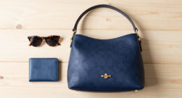 10 Best Coach Chelsea Bags in 2026