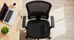 12 Best Ergonomic Office Chairs in 2026