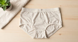 12 Best Organic Cotton Underwear in 2026