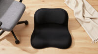 14 Best Ergonomic Lumbar Support Cushions in 2026