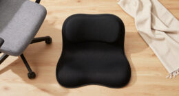 14 Best Ergonomic Lumbar Support Cushions in 2026