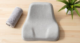 14 Best Ergonomic Memory Foam Seat Cushions in 2026