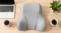 15 Best Ergonomic Back Support Cushions in 2026