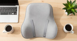 15 Best Ergonomic Back Support Cushions in 2026