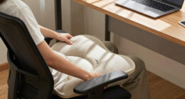 15 Best Ergonomic Seat Cushions in 2026