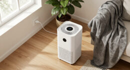 Dehumidifier Size Calculator: Match Pint Capacity to Your Room