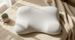 10 Best Ergonomic Back Support Pillows in 2026