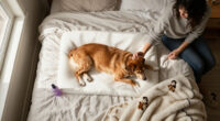 How Can I Kick My Dog Out Of Bed Without Hurting Our Bond?